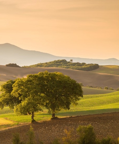 无需门面做点小生意