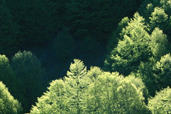 国考成绩复查成功案例分享