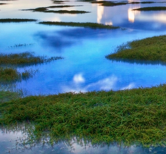 搬砖洋气的名字