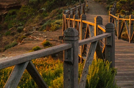 人造子宫成功了吗