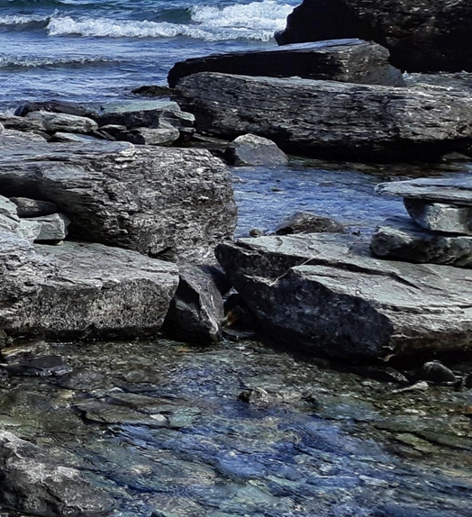包山投资什么好项目赚钱