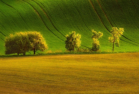 台湾虾皮挣钱吗