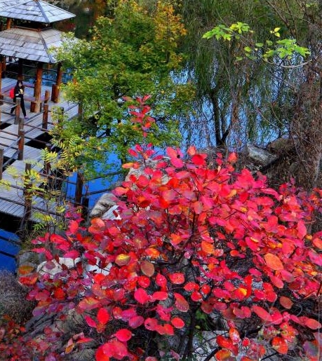 美妆心得怎么样