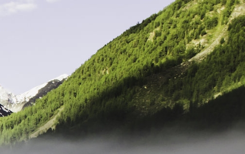 门面可以赚钱的项目叫什么