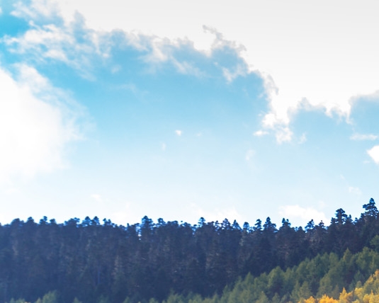 金蝶如何启用项目核算