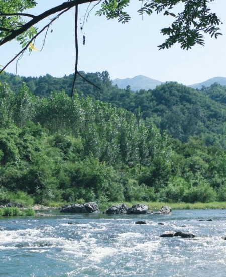 怎么赚钱比较快