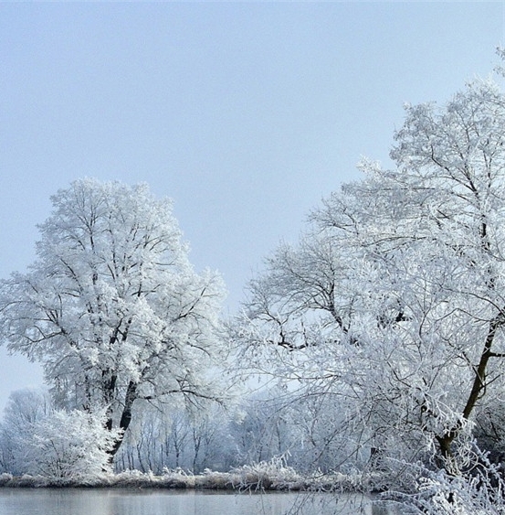 我的家园50元能提现吗