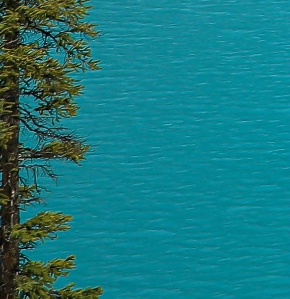 清空库存赚钱方法视频教学