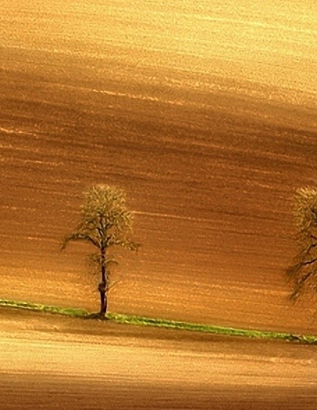 一万块白手起家案例