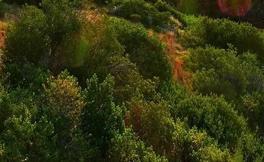 自己的门面适合做什么生意