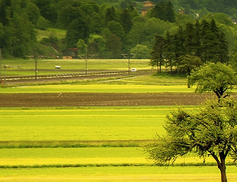 年前赚钱小项目叫什么