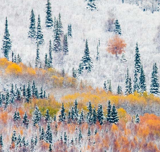 婚介所赚钱模式