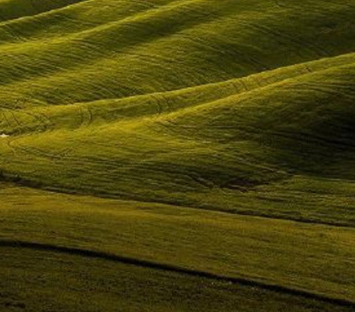 网上赚钱最可靠的10种方法