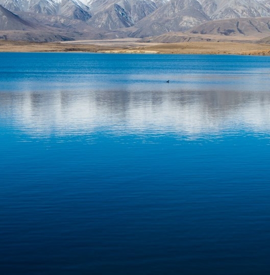 挖土前期什么项目赚钱最快