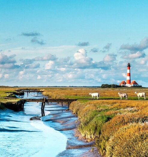 如何策划一场讲座活动