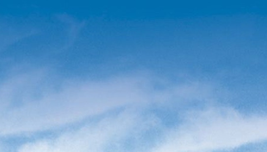 强者恒强赚钱案例