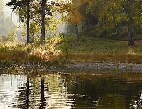 上课写作赚钱的方法