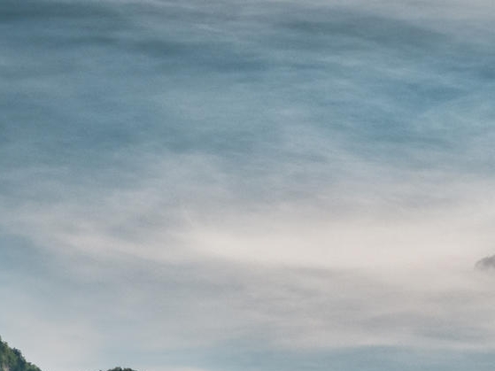 养莲藕赚钱心得感悟句子