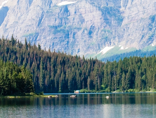 向上沟通案例及分析