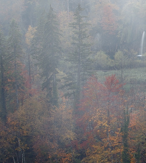 不缺赚钱的项目叫什么项目