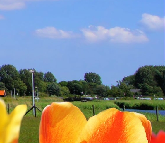 自考本科考研985案例