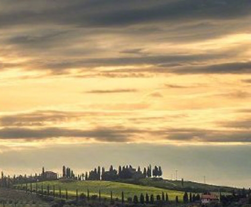 保定怎样选择餐饮项目赚钱