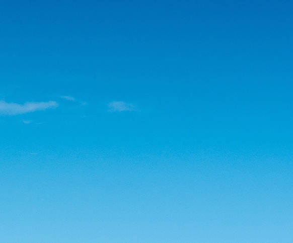 熬夜赚钱成功案例图表