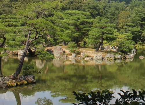 快手pcp快速赚钱方法