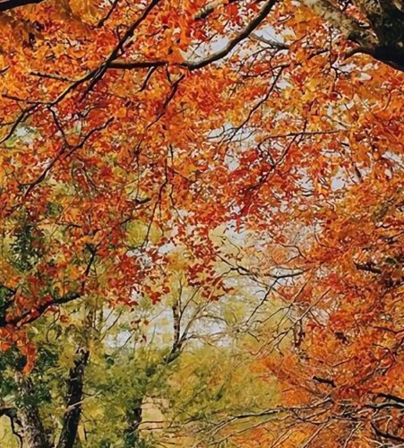 有什么赚钱快的路子