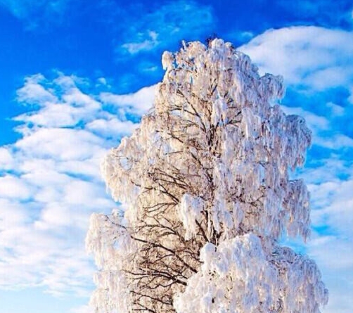 央视报道的成功沟通案例