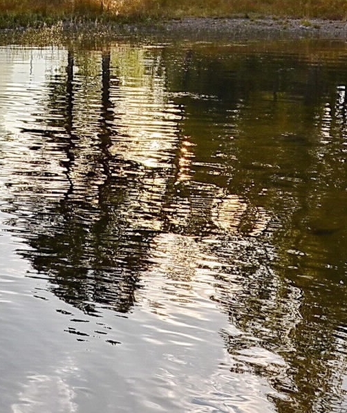 个人创业逆向思维案例