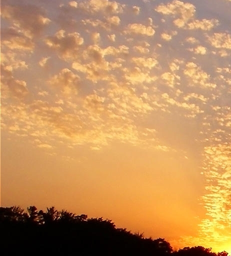 一个晚上赚钱最快的方法