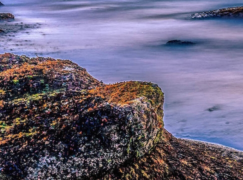 软件推广怎么赚钱