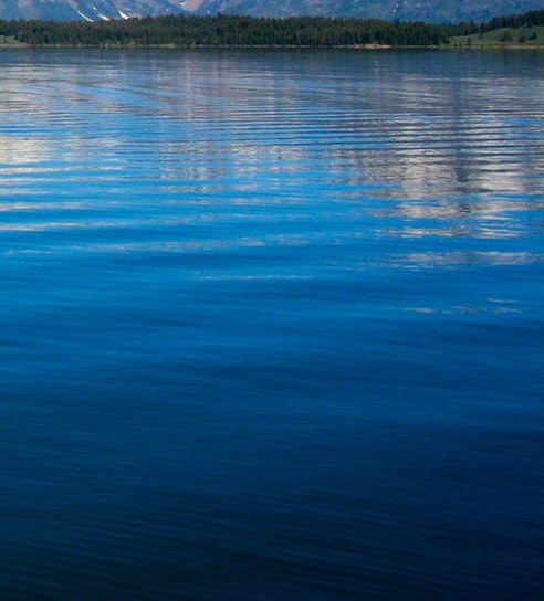 二货求朋友赚钱项目