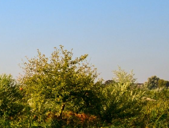 自己有项目但没钱赚钱