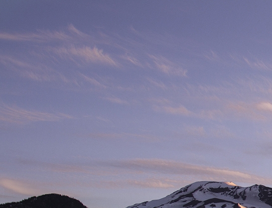 打工赚钱真实案例