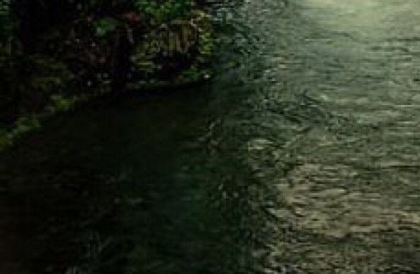 宝宝起名项目不好做了