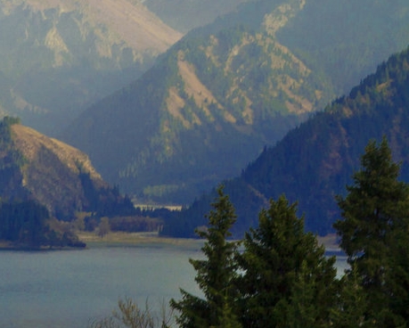 怎么利用手机赚钱最靠谱