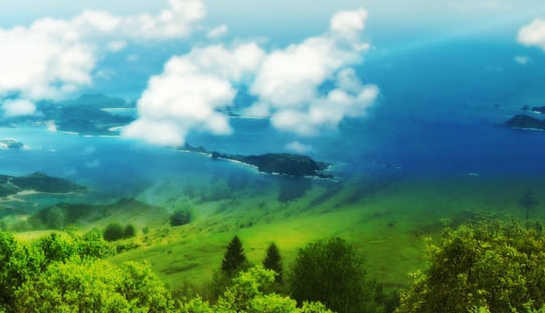 农村赚钱的路子