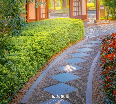 知乎如何获取收益