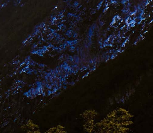 仙股为什么有人买