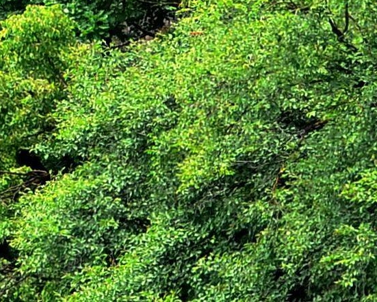 快手怎么赚钱视频教程