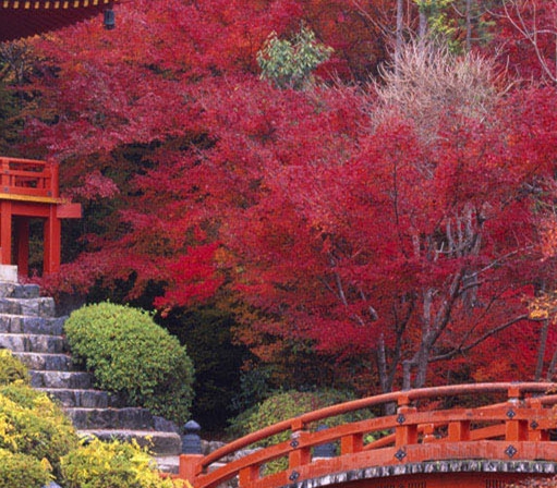 如何运用资本赚钱