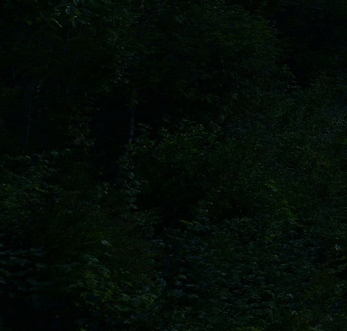 网上写文案怎么挣钱