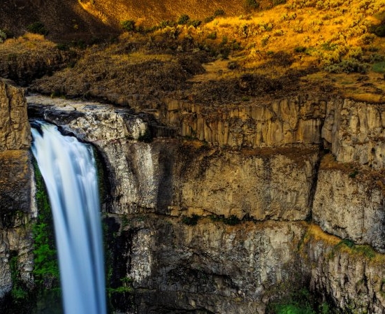农村长久赚钱的项目