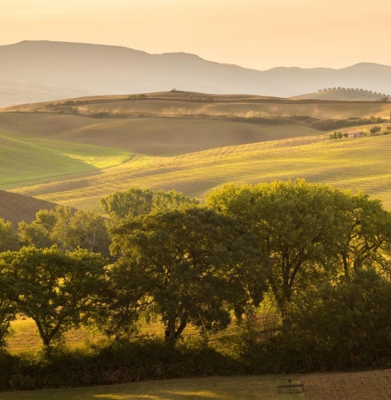 项目主标题是什么