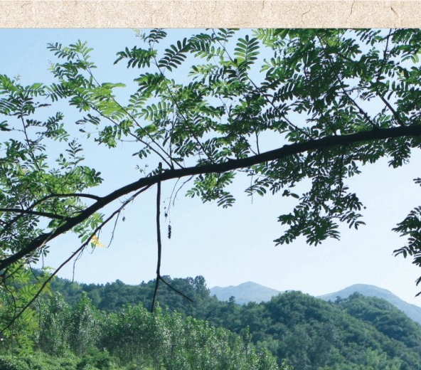 餐饮行业感悟辛苦