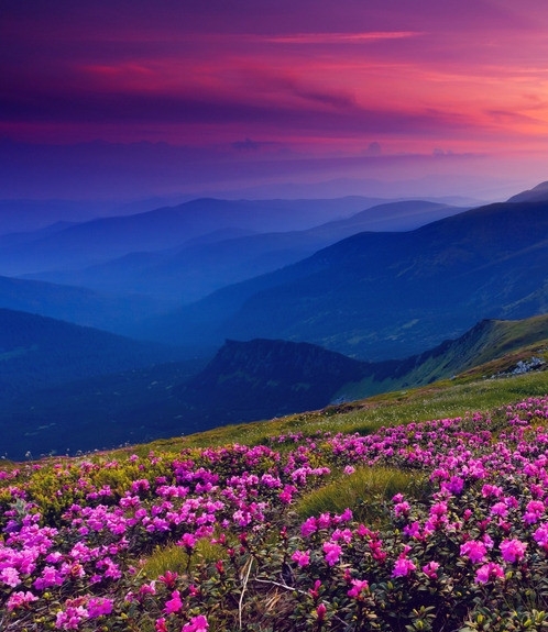 出口什么赚钱快