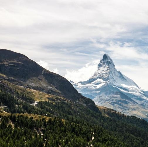 强者恒强出自哪里