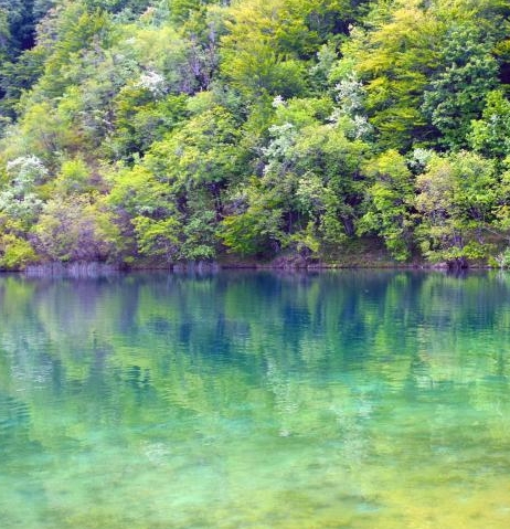 交叉补贴模式赚钱案例